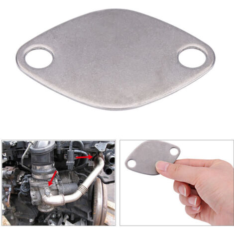 Kit de Plaque d'Obturation de Valve avec Joint 2Pcs Plaque d'obturateur de Vanne EGR Valve Blanking Bloc Assiettes Kit pour Espace Laguna Master Trafic Movano (1/4)