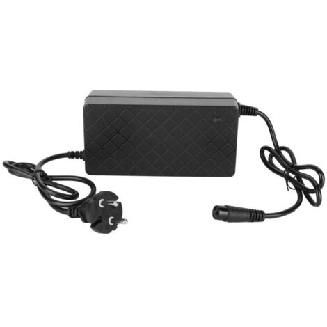 Batterie de remplacement pour trottinette électrique RAZOR E100 E200 E300 E125 E150 E500 (prise européenne 90-230 V).