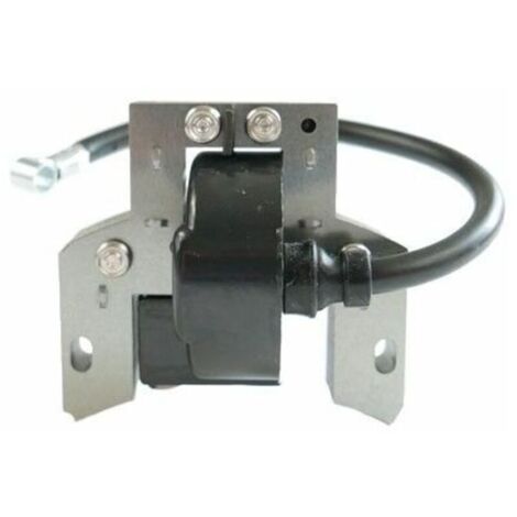 Bobine allumage Briggs et Stratton 591420 (1/4)