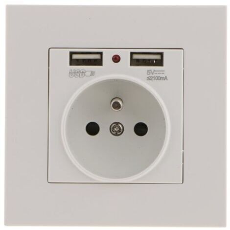 Prise Murale, Prise Electrique Murale avec Double USB 5V/2100mA, Prise Encastrable avec 2 Ports de USB Pratique et Manialble (1/5)