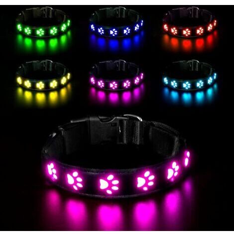 LED Collier Lumineux pour Chiens, Lumière Collier Chien Rechargeable et Etanche, Collier de Réglable avec 7 Modes d'éclairage(Coloré-M)