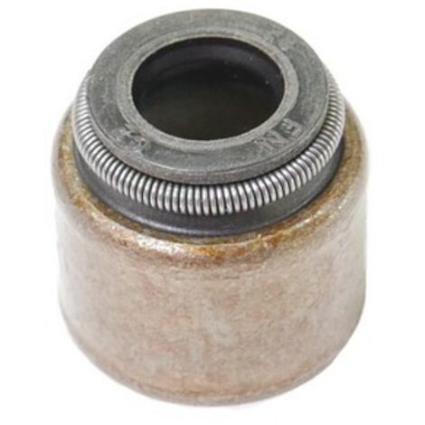 Joint queue soupape moteur autoportée Briggs et Stratton