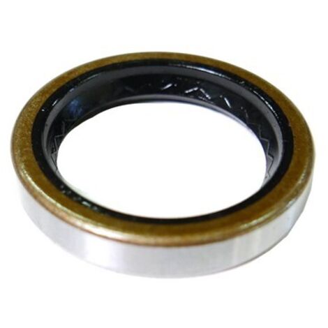 Joint Spi moteur Tecumseh OV358EA-206904F, TVM220, OHV130