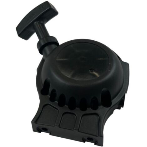 Lanceur taille haies sur perche Echo HCA265ES (1/3)