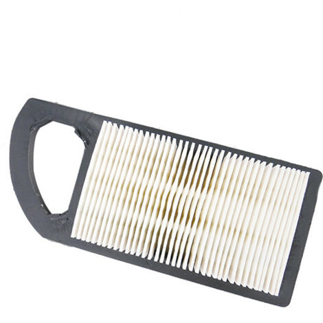 Filtre à air moteur Briggs et Stratton Powerbuilt, intek - 794421