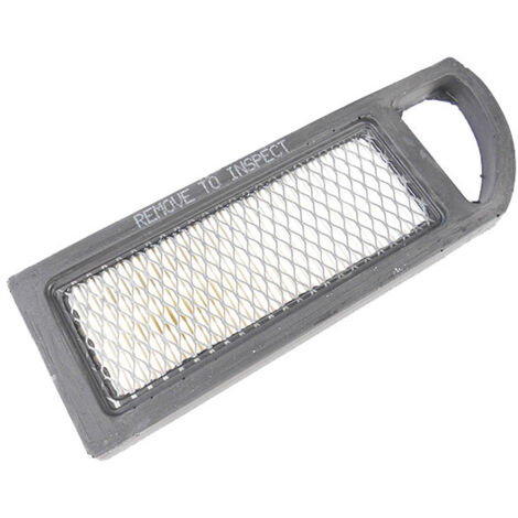 Filtre à air moteur Briggs et Stratton Intek 794422 Origine (1/3)