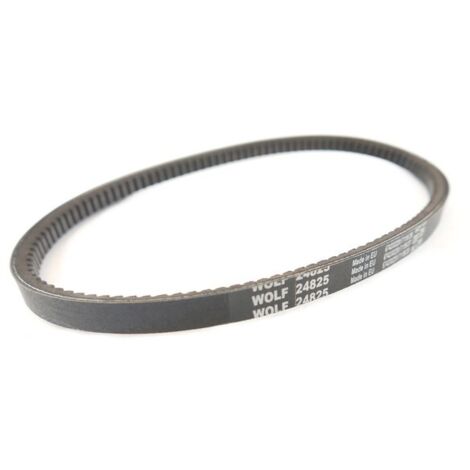 Outils Wolf – Courroie embrayage de lame tondeuse – Accessoire pour tondeuse PBTF46 – Pour coupe précise et durable – Pièce d'origine Wolf