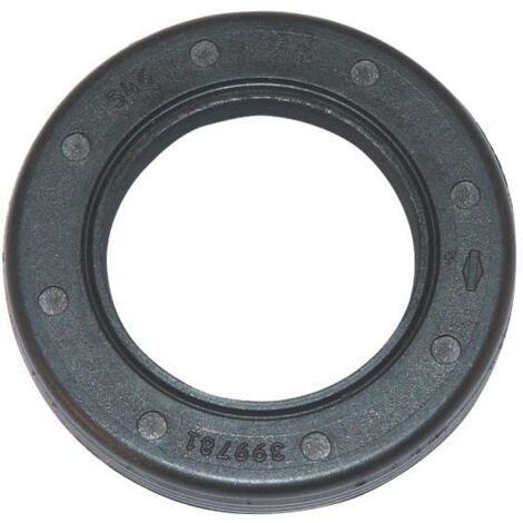 Joint spi moteur Briggs et Stratton Serie 122672, Intek et Quantum - 399781S