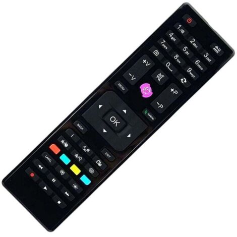 Télécommande universelle RC4875 pour remplacer facilement les télécommandes Tucson Continental Edison Technika Telefunken Edenwood Grandin Listo Techwood CELCUS Bush OKI et plus (1/4)