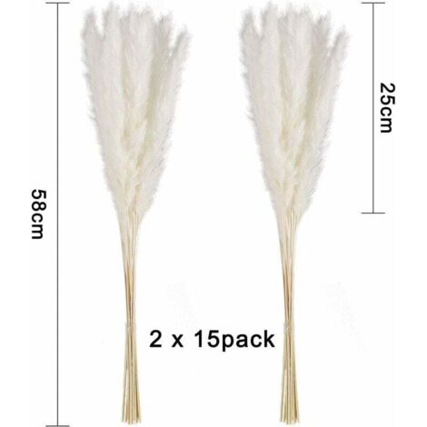 30 pcs Herbe de la Pampa, 58 cm Naturel Pampa Fleur Bouquet de Fleurs ...