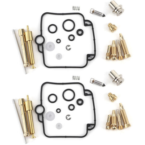 Vtizikl Kit de réparation et de reconstruction de carburateur, 2 ensembles, avec composants d'étanchéité, pour Suzuki GS500E (1/4)