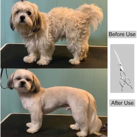 EBKCQ Laisse Chien 3, Laisse Pour Chien Double Enrouleur Solide, Laisse De Dressage Pour Chien