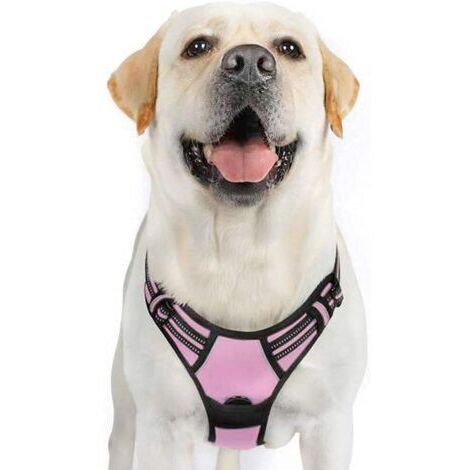 Harnais Chien XL Arnais Rose Anti Traction Réfléchissant Gilet Réglable pour Chien Grand Taille, Attache Devant Crochet de Laisse pour Trajet Voiture, American Staff, Border Collier-Ensoleillé (1/5)
