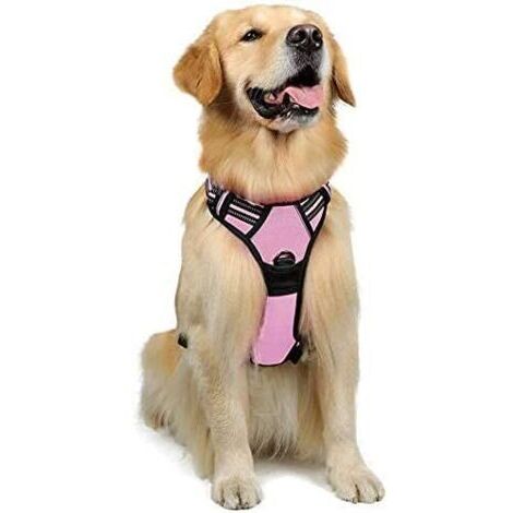 Harnais Chien L Arnais Rose Anti Traction Réfléchissant Gilet Réglable pour Chien Grand Taille, Attache Devant Crochet de Laisse pour Randonnée Trajet Voiture, American Staff, Border Collie-Ensoleillé (1/5)
