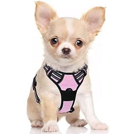 Harnais Chien S Arnais Rose Anti Traction Réfléchissant Gilet Réglable pour Chien, Attache Devant Crochet de Laisse pour Randonnée Trajet Voiture, Bouledogue Français, Berger Australien-Ensoleillé (1/5)