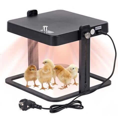 Plaque Chauffante Poussin Incubateur Poussin Chauffe-poussins Plaque Chauffante 15W Plaque Chauffante Poulets Température Réglable 45°C-70°C Plaque Chauffante Poussin Couveuse
