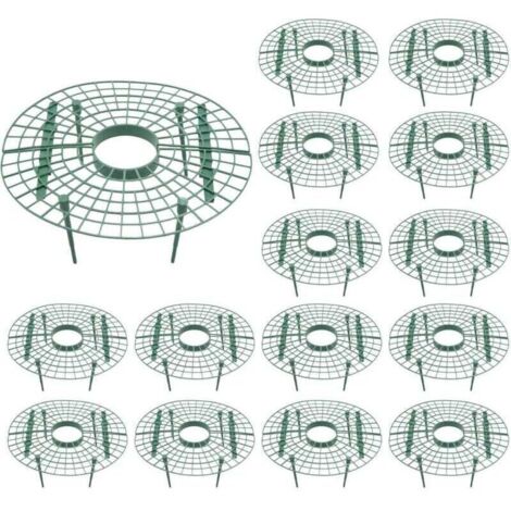 Lot de 15 supports pour plantes de fraises - évite la pourriture - Outil de culture de fraises (1/5)