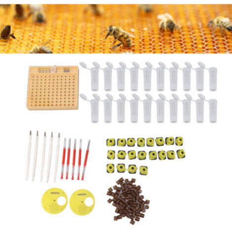 Système d'élevage de reines d'abeilles Kit de coupelle de cellule d'élevage en plastique Fournitures d'équipements de greffage d'apiculture,DUBUNS (1/5)