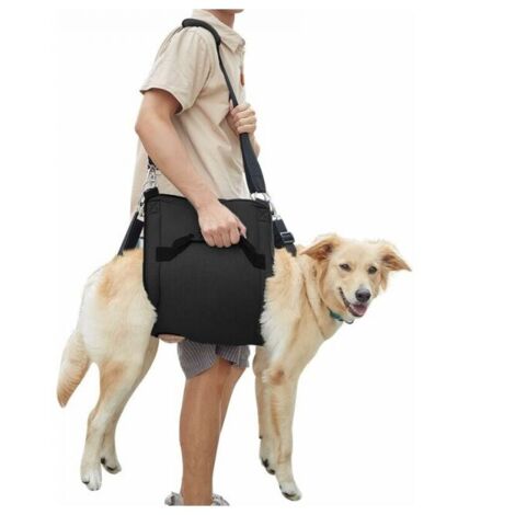 (M, noir) Harnais de transport pour chien, sac à dos d'urgence pour soutien et rééducation des jambes de l'animal domestique (1/5)
