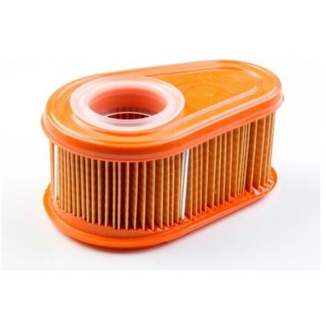 Filtre à air original Briggs et Stratton 792038, accessoires pour machines de jardin (1/5)
