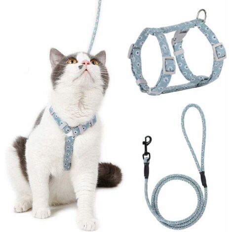 Harnais Chat Réglable Harnais Laisse (Bleu-Vert S) pour Chat Petit Chien en Nylon avec Laisse Résistant à la Sécurité Harnais Veste pour Chiot Chaton des Petits Animaux de Compagnie-Fei Yu