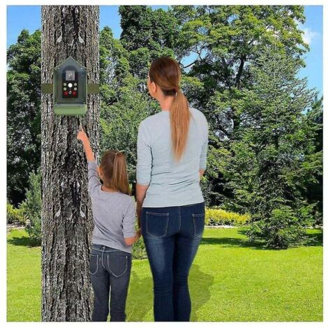 Ancien Plateau à Peinture Galvanisé - Réutilisable En Mangeoire Ou Jardinière Suspendue