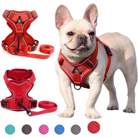 Harnais pour chien de petite et moyenne taille (rouge M)-Fei Yu