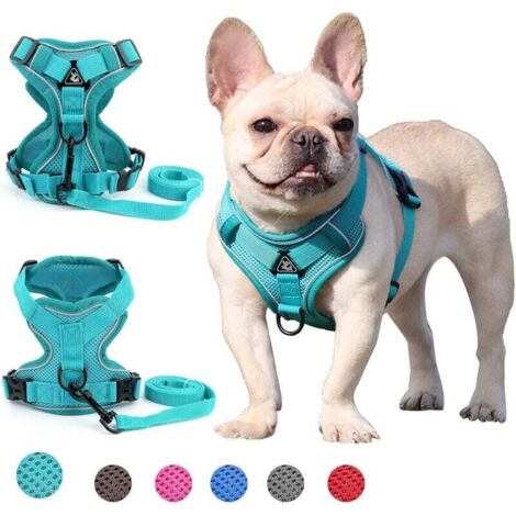 Harnais pour chien de petite et moyenne taille (vert L)-Fei Yu