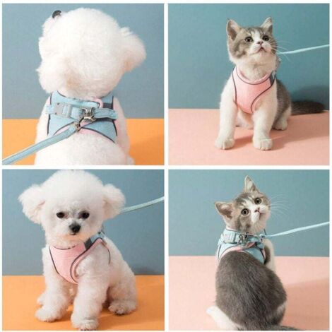 Ensemble harnais et laisse pour chat, harnais anti-traction, respirant, réglable, et facile à promener pour petits chiens et chats (rose, S)