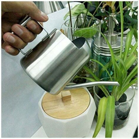 Arrosoir à longue bouche en acier inoxydable, pour plantes, fleurs, intérieur, patio, jardin, bureau, extérieur (300 ml)