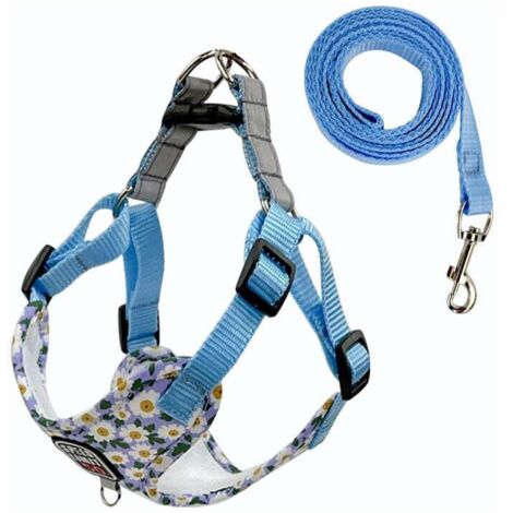 Fournitures pour animaux de compagnie Laisse respirante pour chien Laisse imprimée pour chien de promenade pour chien de petite et moyenne taille Nouveau harnais pour animaux de compagnie en gros
