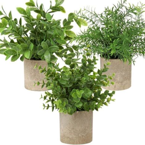 Plantes Artificielles en Eucalyptus – Lot de 3 avec Pot en Céramique, Décoration Intérieure Élégante pour Maison et Bureau (1/4)