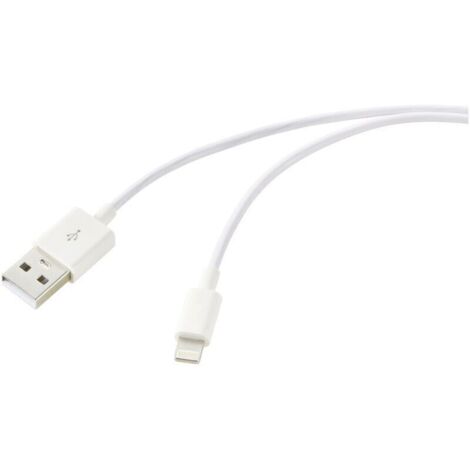 Câble USB 2.0 avec connecteur Lightning – 1 m, blanc nacré, modèle RF-5724084 C857152 (1/4)