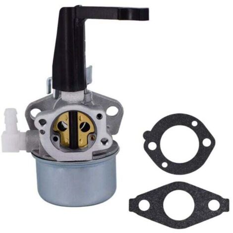 Rwoythk – Carburateur de remplacement pour Briggs & Stratton 110402 110412 – Kit de joints inclus – Performance améliorée – Installation facile (1/8)