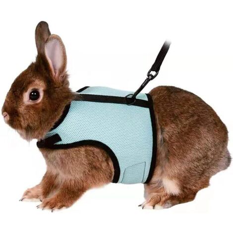 Harnais réglable pour lapins souples avec laisse élastique pour petits animaux lapins hamsters chats (L, vert clair) (1/5)