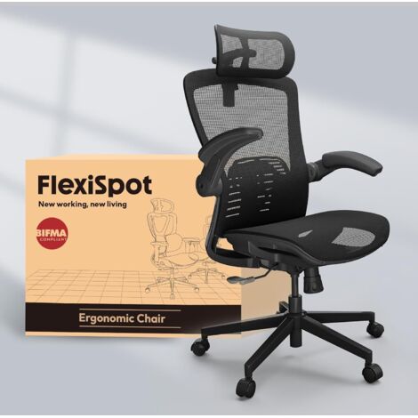 FlexiSpot Chaise de Bureau Ergonomique avec Appuie-tête, Maille (1/5)