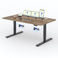 FlexiSpot Bureau Assis Debout 200 x 80 cm avec 2 Moteurs, Marron