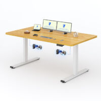 FlexiSpot Bureau Assis Debout 180 x 80 cm avec 2 Moteurs, Maple