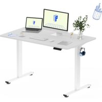 FLEXISPOT Bureau Assis Debout 120x60cm Une Pièce, Maple