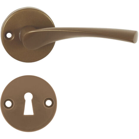 DOMINO Poignée de porte EVA-R F4 BB Poignée avec rosace BB pour clé