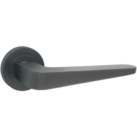 DOMINO Poignée de porte VITA-R M8 Titan Poignée Sans rosace titane (1/5)