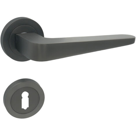 DOMINO Poignée de porte VITA-R M8 Titan BB Poignée avec rosace BB pour clé titane (1/5)