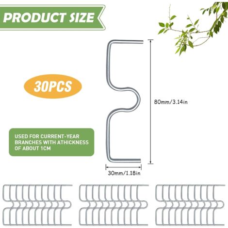 Lot de 30 écarteurs de branches d'arbre fruitier, support pour branches