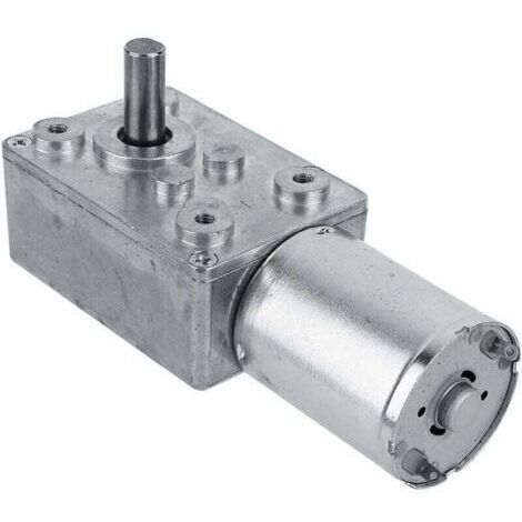 LaBlanc - Moteur Électrique de Réduction Réversible à Couple Élevé Boîte de Vitesses Motoréducteur à Engrenage à Vis sans Fin 12V 150RPM Argent