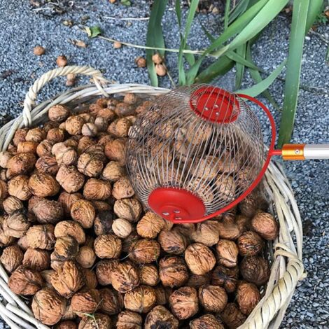 Ramasse-boules Alimenter Pour Pétanque – 27kg Traction, Ficelle 4mm, Fait Main (France)