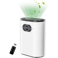 Deshumidificateur d Air, Deshumidificateurs la Maison, Arrêt Automatique, Mini Portable Dehumidifier Anti Moisissures, Dehumidifier pour Chambre, Bains, Armoire