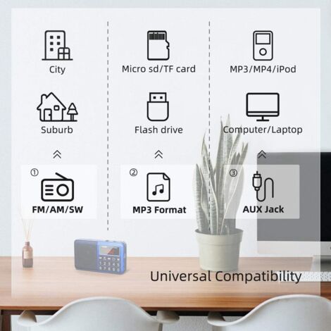Bewinner Radio Portable AM FM SW Avec écran LCD Numérique, Haut-Parleur