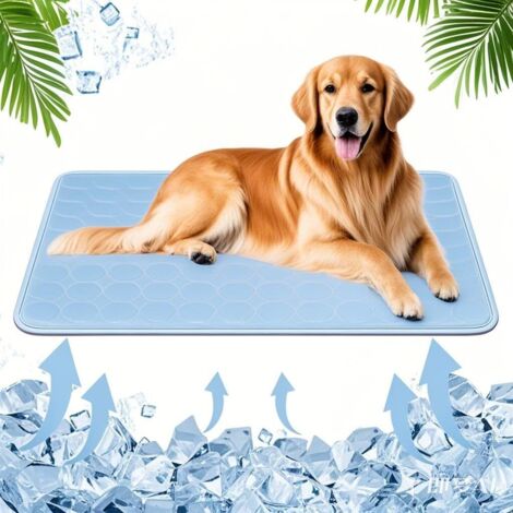 Test du tapis de refroidissement Koquena pour chien