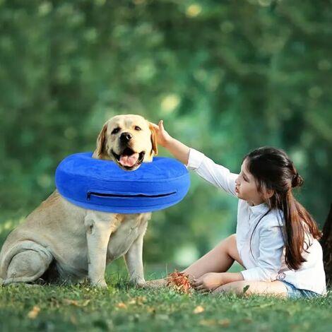 Collerette Gonflable Pour Chien - Collier De Protection Ajustable Après Opération (transparent)