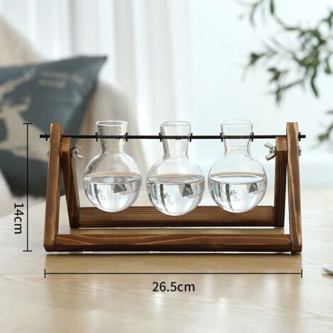 Micro vase en verre en forme de boule de mousse de paysage avec couvercle, terrarium en verre, bouteille de mousse verte aîche  15